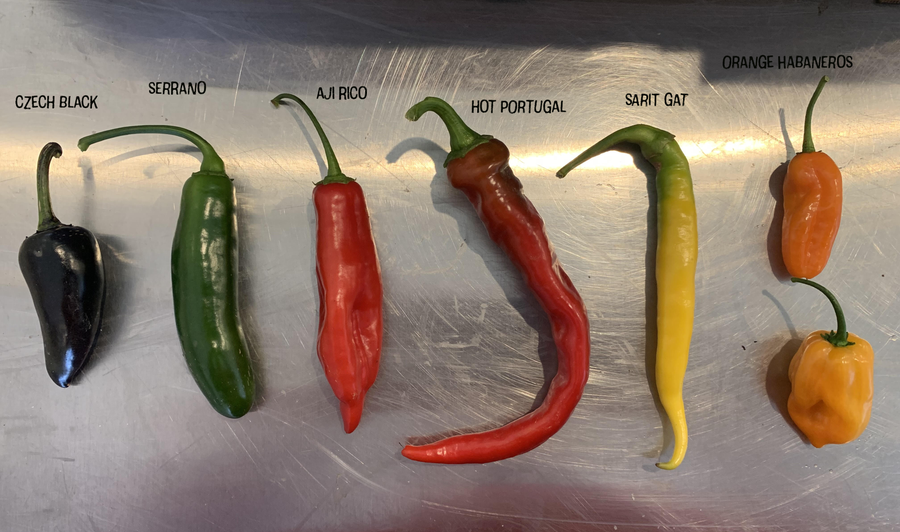 Heirloom Pepper Vinegar